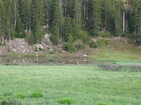 IMG_5656.jpg