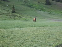 IMG_5659.jpg