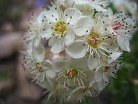 IMG_5688.jpg