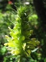 IMG_5706.jpg
