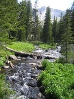 IMG_5719.jpg