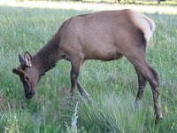 IMG_5753.jpg