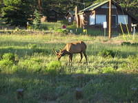 IMG_5756.jpg