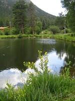 IMG_5800.jpg