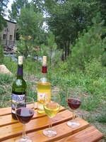 IMG_5812.jpg