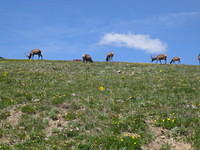IMG_5821.jpg