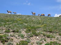 IMG_5822.jpg