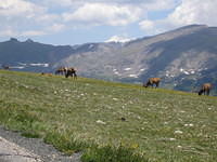 IMG_5824.jpg
