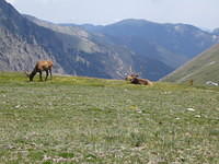 IMG_5826.jpg