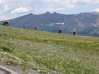 IMG_5828.jpg