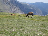 IMG_5829.jpg