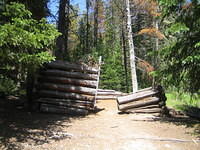 IMG_5838.jpg