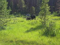 IMG_5843.jpg