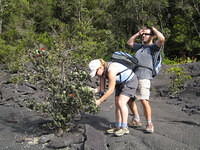 Patrick taking advantage of an oblivious botanist