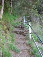 IMG_2163.jpg