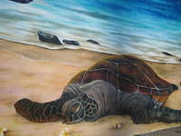Painting on a wall in Kona