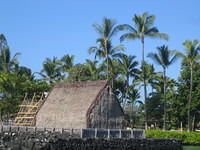 IMG_2499.jpg