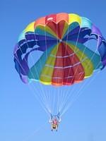 IMG_2503.jpg
