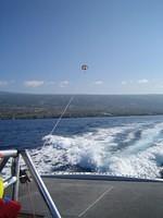 We saw dolphins!