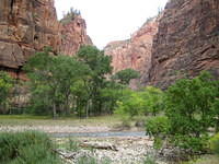 The Virgin River in Zion