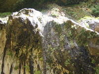 Weeping Rock
