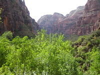 IMG_1903.jpg