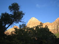 IMG_1913.jpg