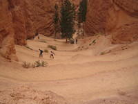 Switchbacks up Navajo Canyon