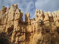 IMG_1954.jpg