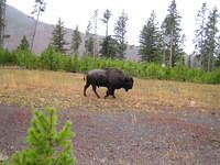 IMG_1968.jpg