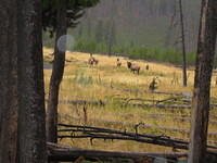 IMG_1972.jpg