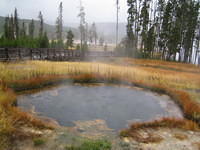 Hot Spring near Madison Junction