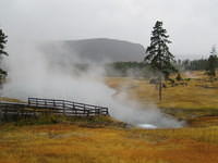 IMG_1979.jpg