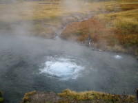 IMG_1980.jpg