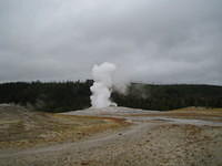 There she blows!