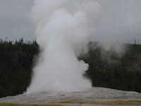 Old Faithful erupts about every 90 minutes and last for 2-5 minutes.