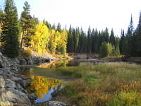 The beautiful fall colors