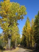 IMG_2065.jpg