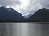 IMG_2071.jpg