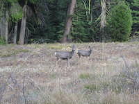 IMG_2074.jpg