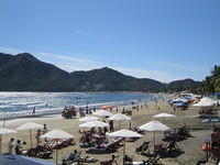 IMG_5165.jpg