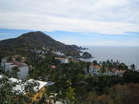 Vida del Mar