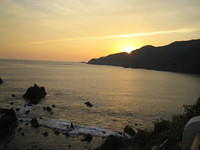 IMG_5225.jpg