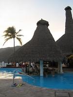 IMG_5229.jpg