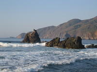 IMG_5247.jpg