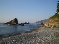 IMG_5256.jpg