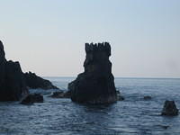 IMG_5258.jpg