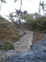 IMG_5259.jpg