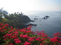 IMG_5263.jpg