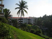 IMG_5264.jpg
